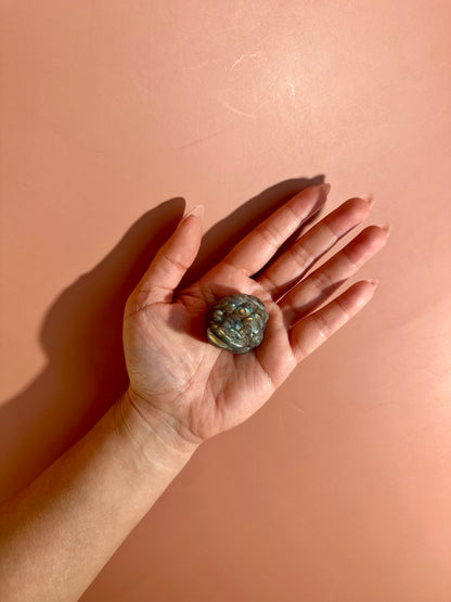 Flashy Labradorite Money Toad – Option D