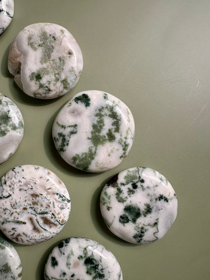 Tree Agate Flat Palm