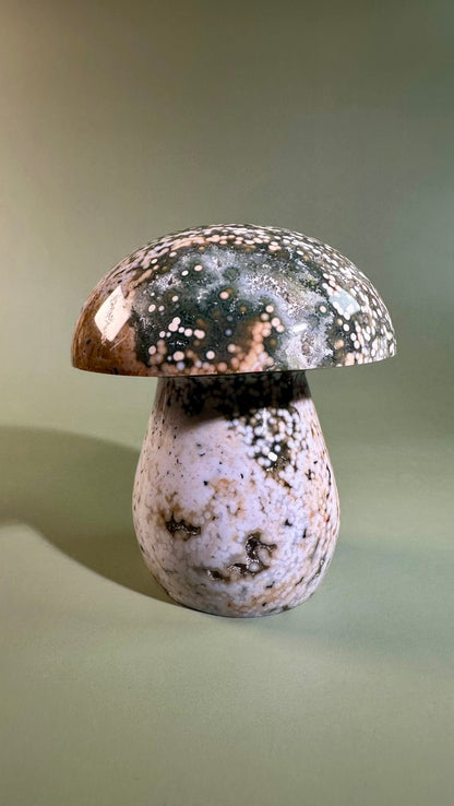 Ocean Jasper Mushroom – C
