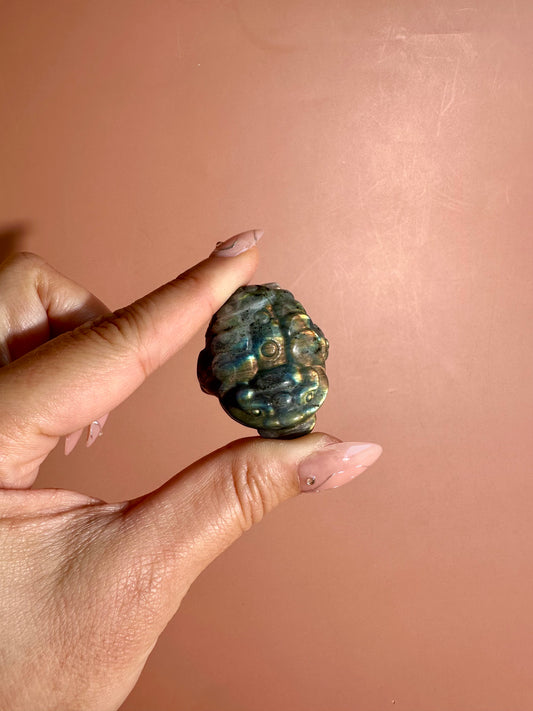 Flashy Labradorite Money Toad – Option D