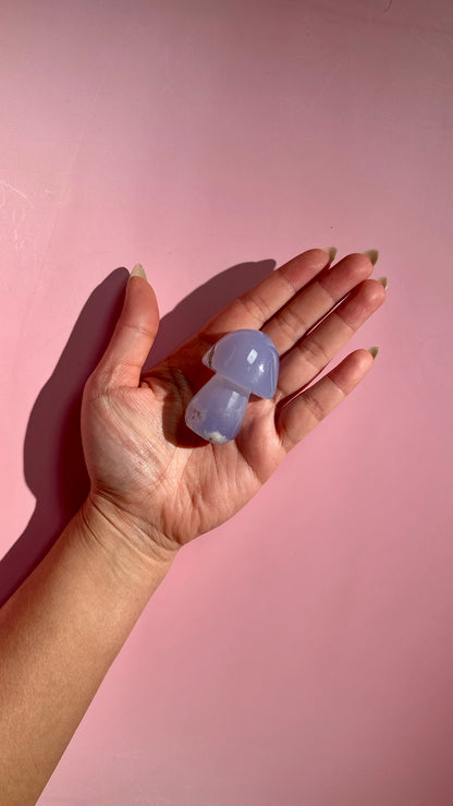 Blue Chalcedony Mushroom – Option C