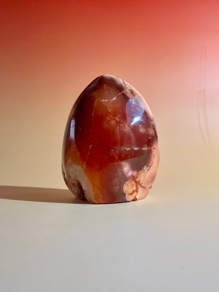 Carnelian Orca Agate Standing Freeform – Option D | Empowerment, Resilience & Collector Crystal