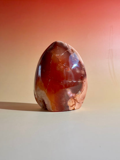 Carnelian Orca Agate Standing Freeform – Option D | Empowerment, Resilience & Collector Crystal