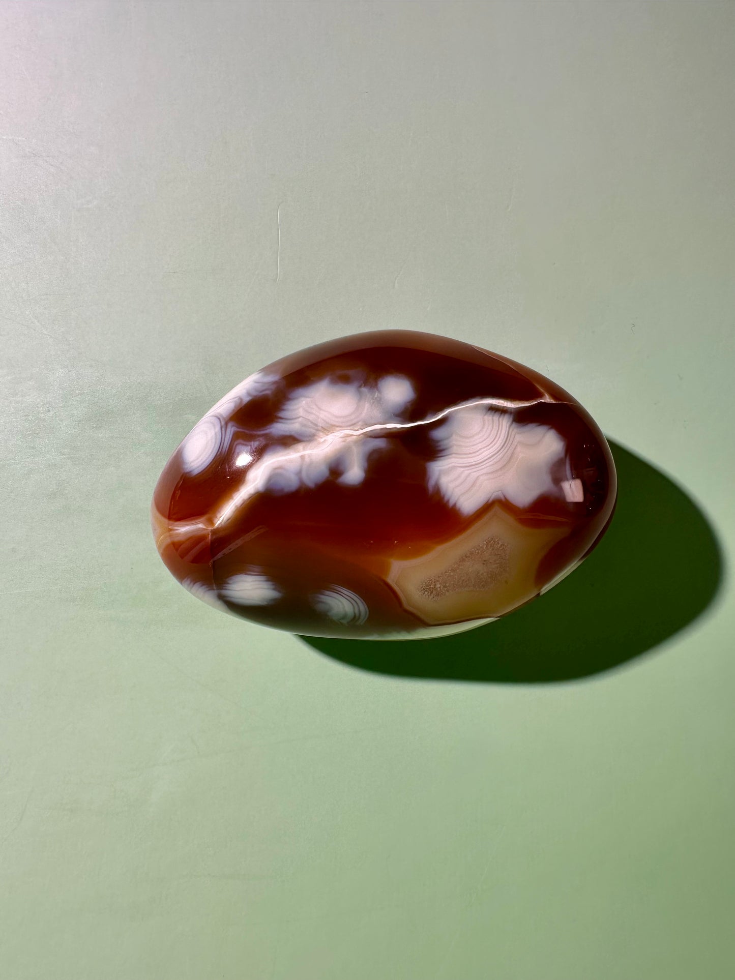 Carnelian Orca Agate Freeform – Option B | Creativity, Joy & Positive Energy