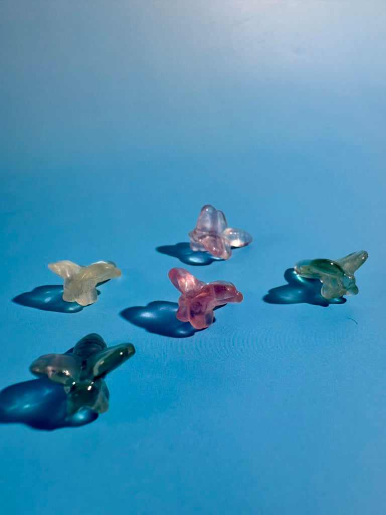 Mini Rainbow Fluorite Dragonfly | Crystal Carving