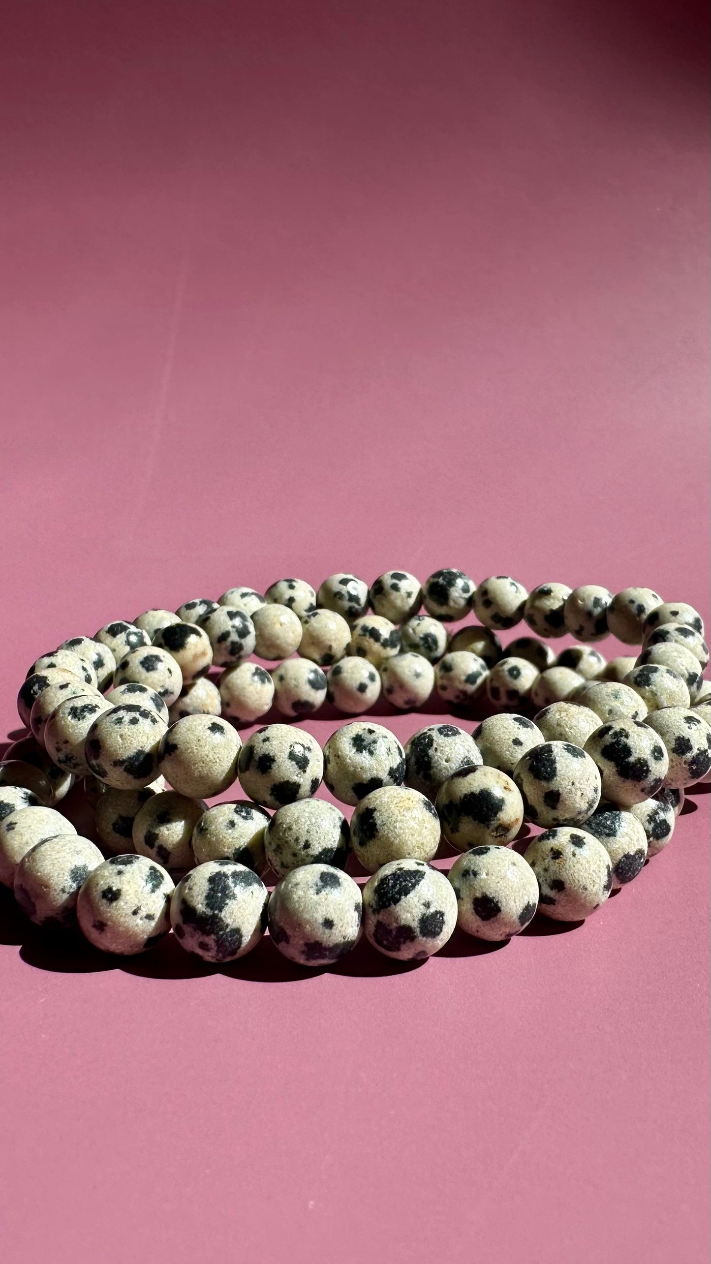 6mm Dalmatian Jasper Beaded Bracelet