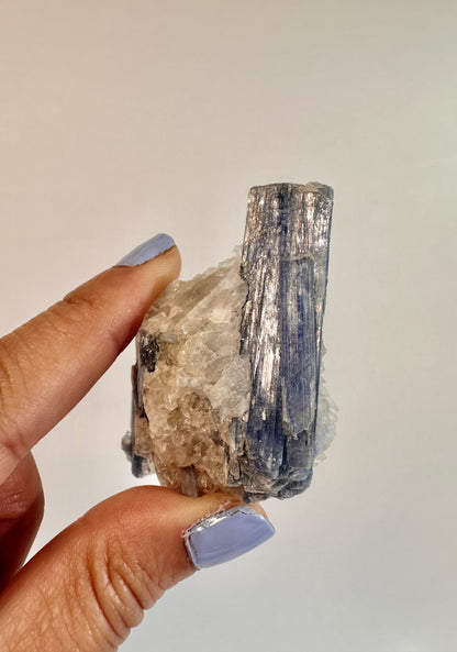 Kyanite in Quartz Cluster - D