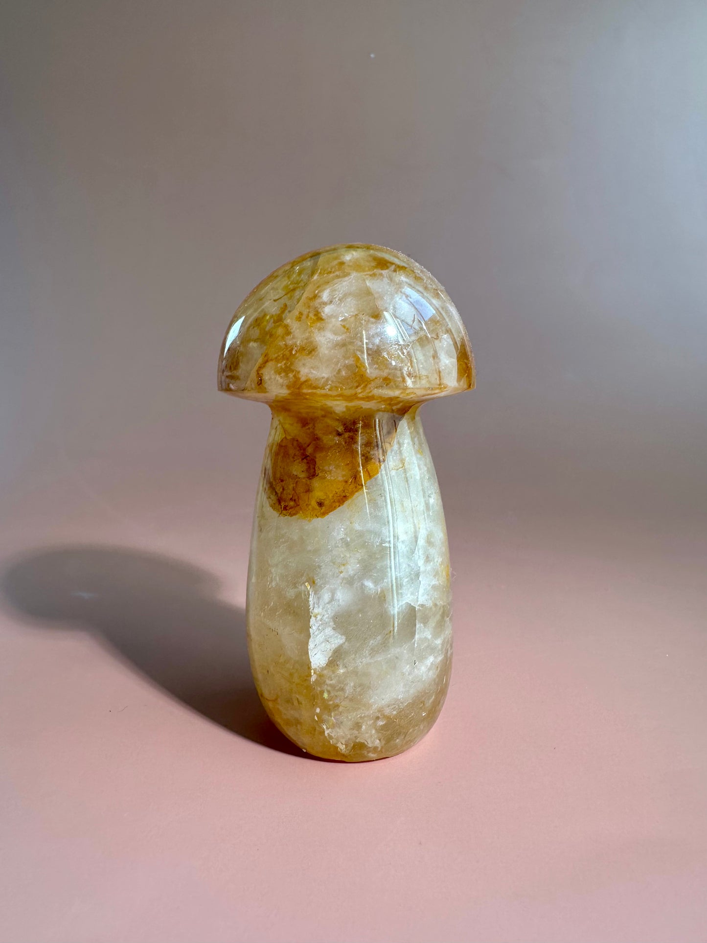 Golden Healer Mushroom