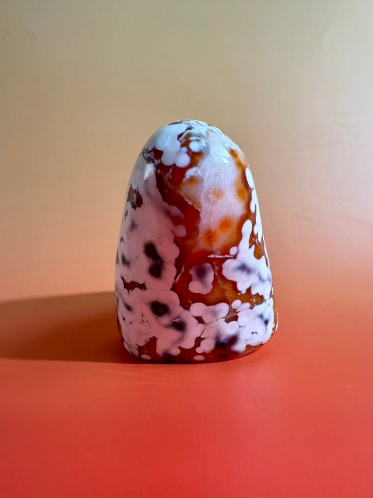 Carnelian Orca Agate Standing Freeform – Option G | Hidden Druzy Pocket, Abundance & Collector Crystal