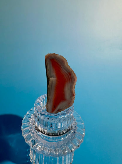 Agate Slice Option G | One-of-a-Kind Polished Agate Collector Specimen