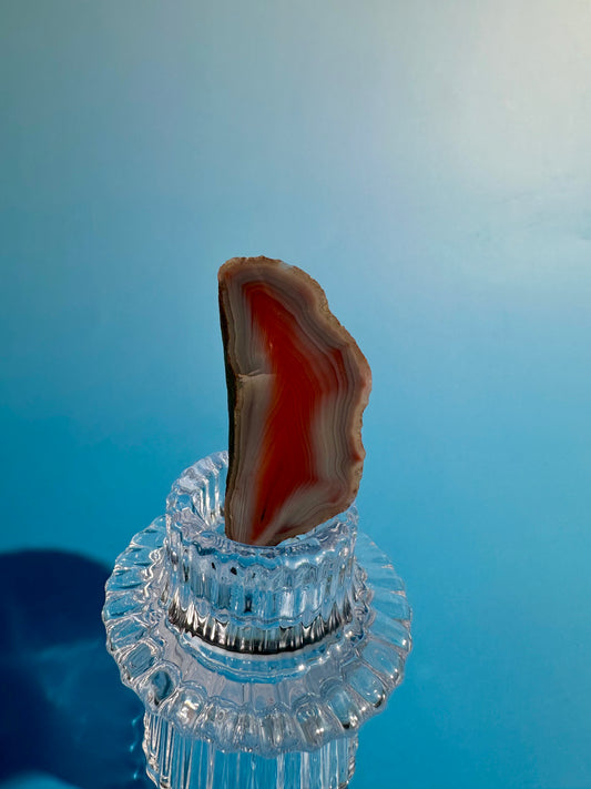 Agate Slice Option G | One-of-a-Kind Polished Agate Collector Specimen