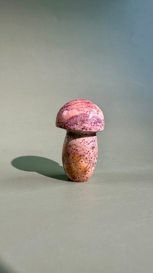 Small Sea Jasper Mushroom – Option A