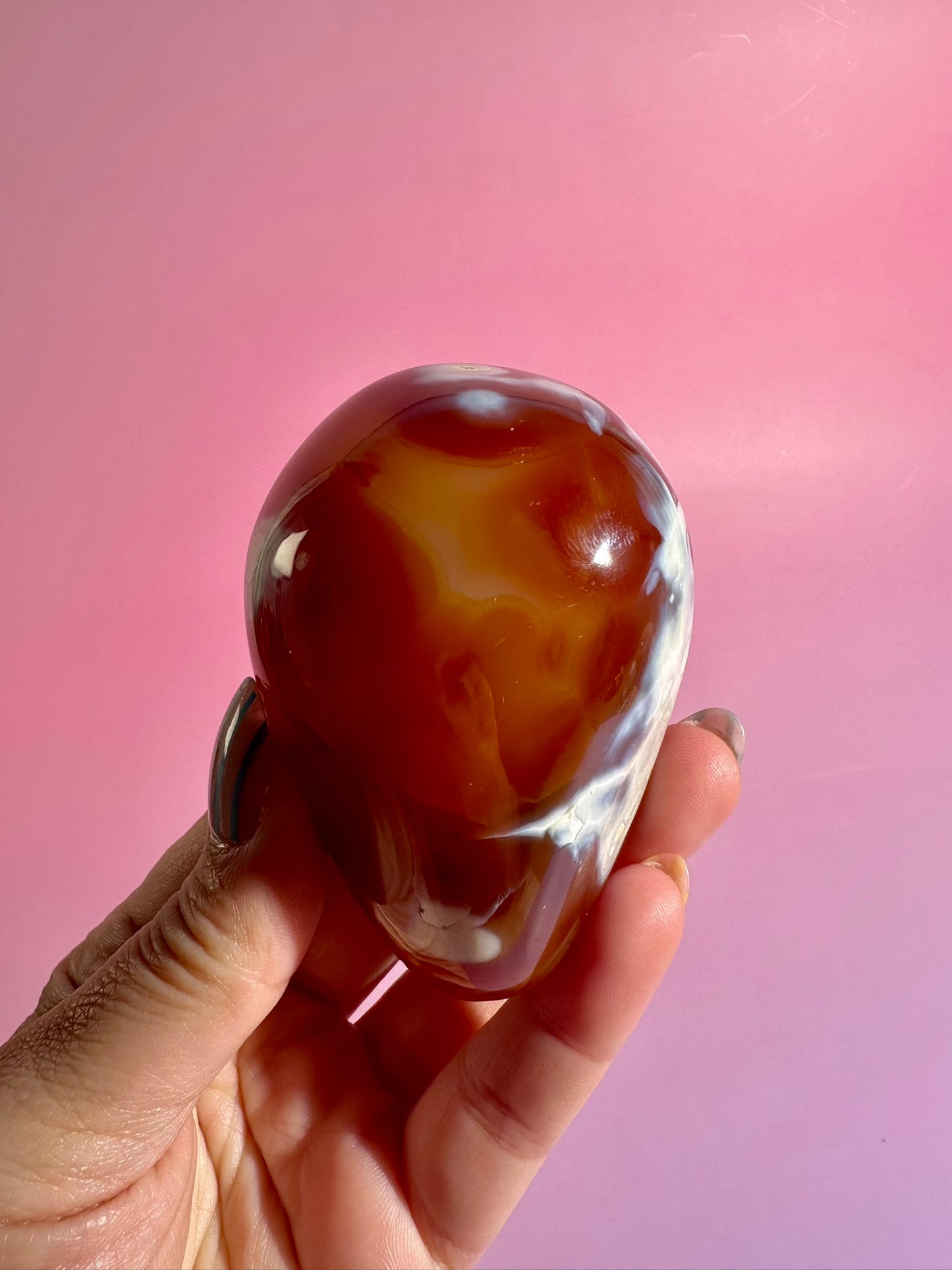 Carnelian Orca Agate Freeform – Option C | Abundance, Strength & Collector Stone