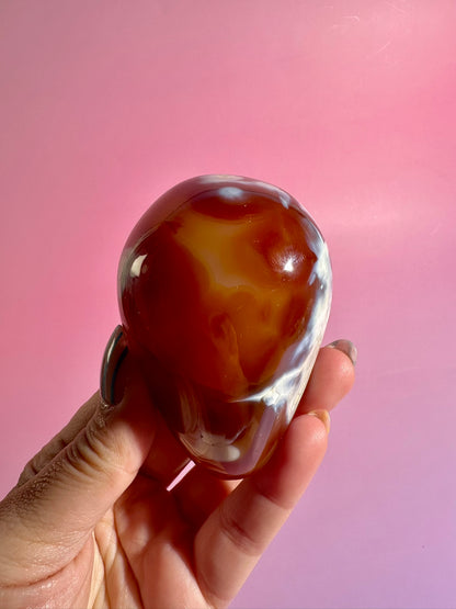 Carnelian Orca Agate Freeform – Option C | Abundance, Strength & Collector Stone