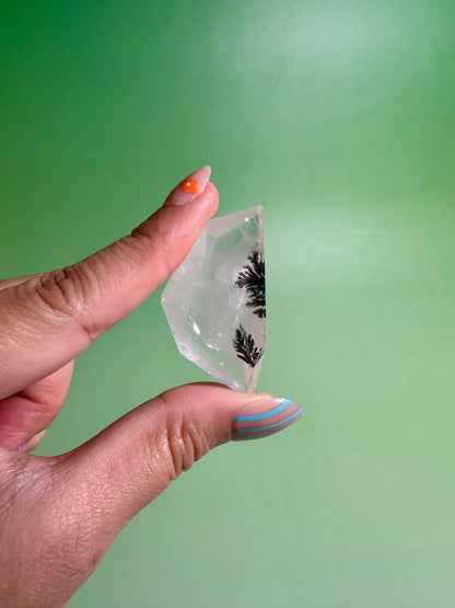 Dendritic Quartz Gusher – Option C | Collector Statement Crystal, Abundance & Inner Wisdom