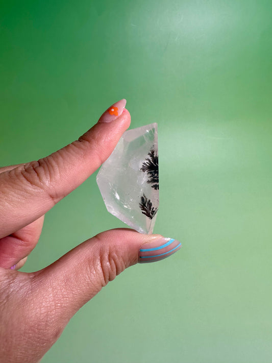 Dendritic Quartz Gusher – Option C | Collector Statement Crystal, Abundance & Inner Wisdom