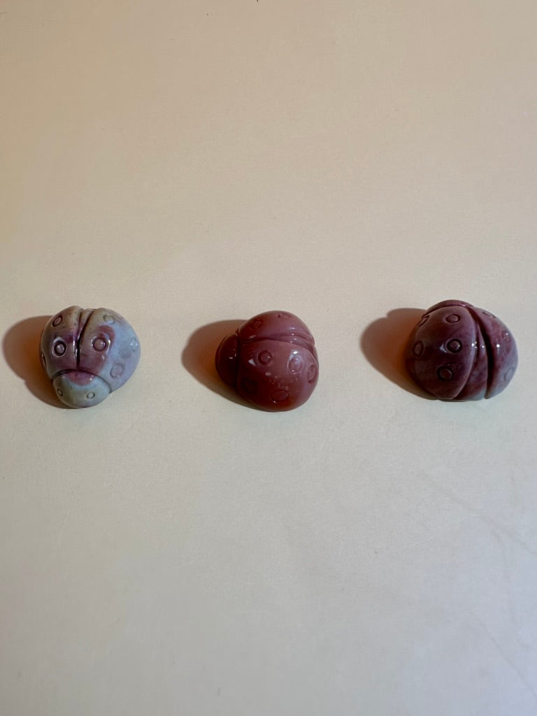 Mini Alashan Agate Ladybug | Cute Crystal Carving