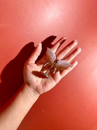 Sea Jasper Butterfly on Silver Stand | Joy, Tranquility & Emotional Renewal Crystal Décor