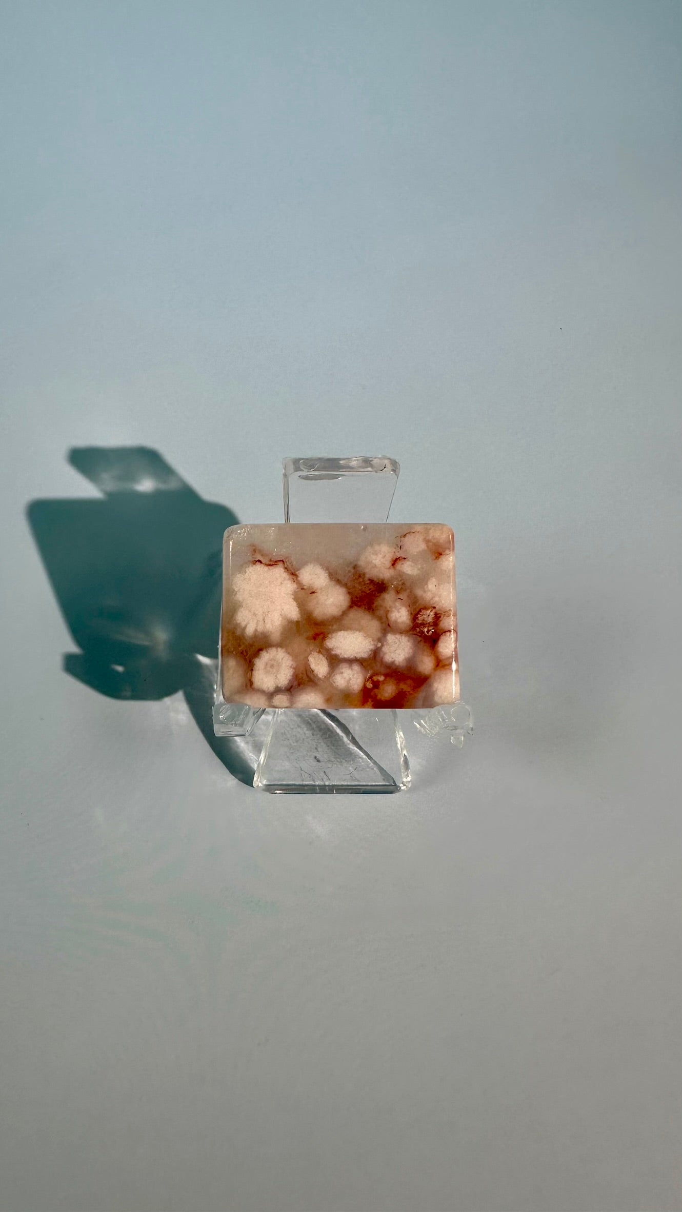 Flower Agate Window Slab – Option B