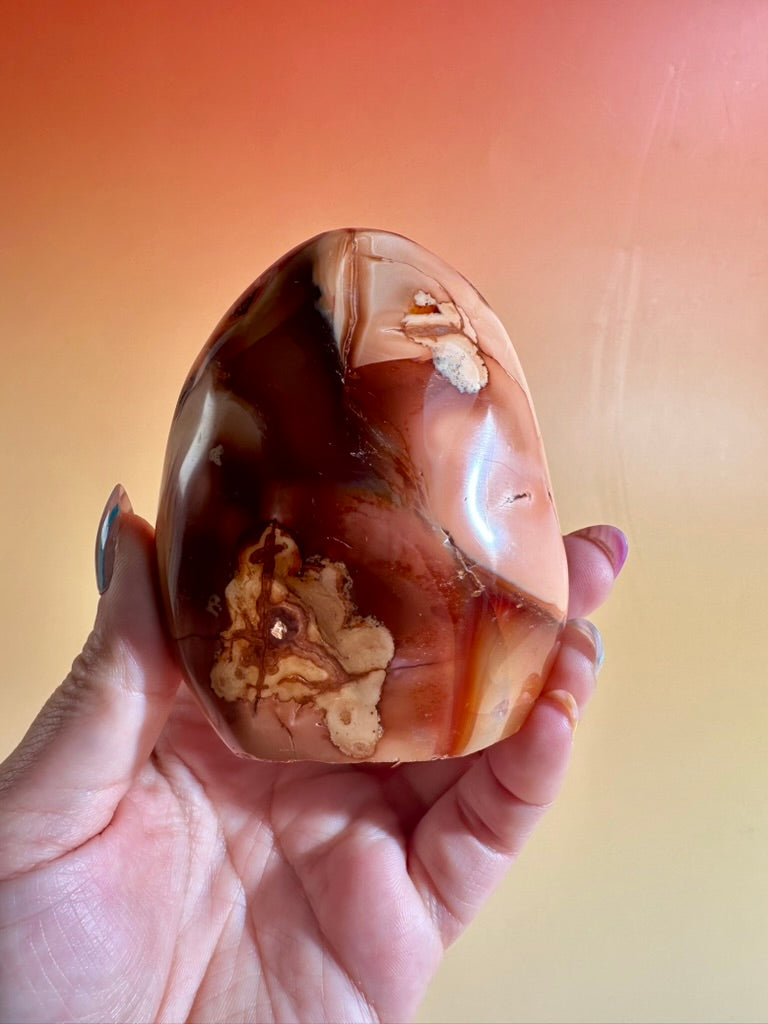Carnelian Orca Agate Standing Freeform – Option D | Empowerment, Resilience & Collector Crystal