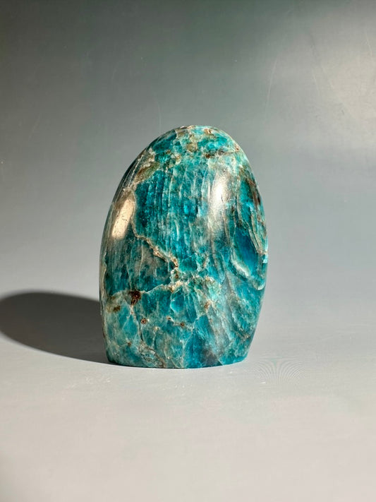 Blue Apatite Standing Freeform – Option A | Clarity, Communication & Inspiration Crystal