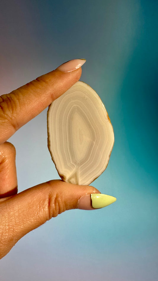 Agate Slice – Option C