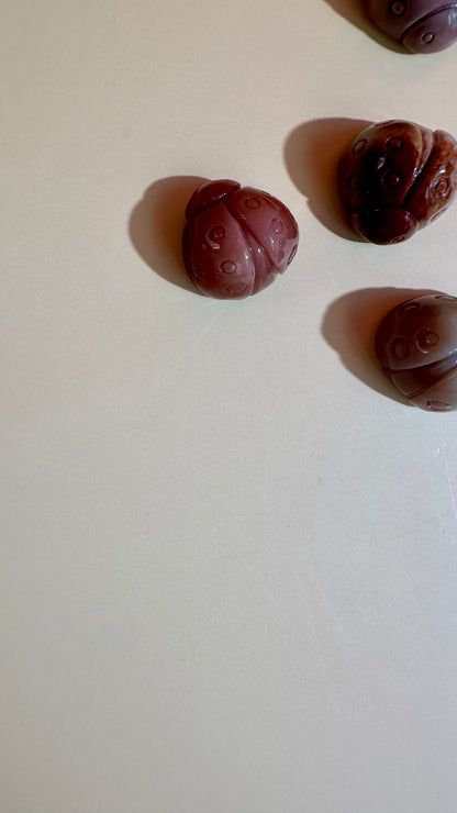 Mini Alashan Agate Ladybug | Cute Crystal Carving