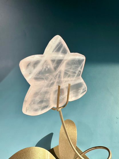 Rose Quartz Orchid Carving on Gold Stand | Intuitively Chosen Love, Grace & Heart Healing Energy