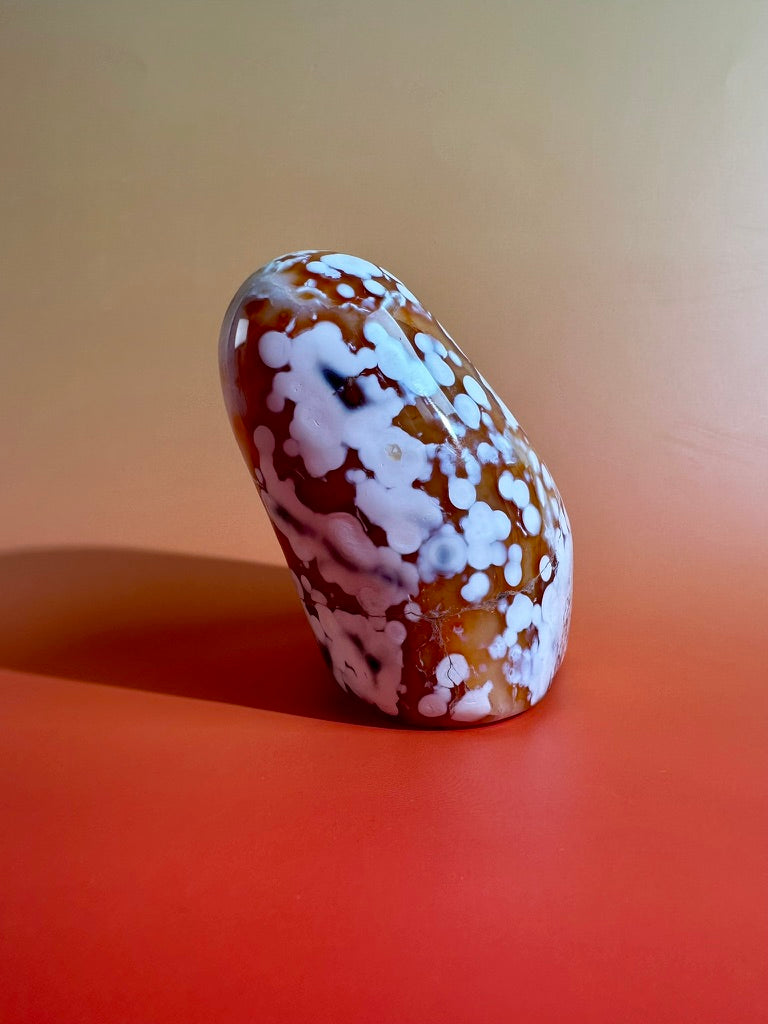 Carnelian Orca Agate Standing Freeform – Option G | Hidden Druzy Pocket, Abundance & Collector Crystal