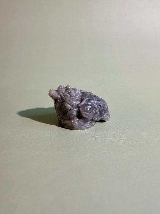 Flashy Labradorite Money Toad – Option C