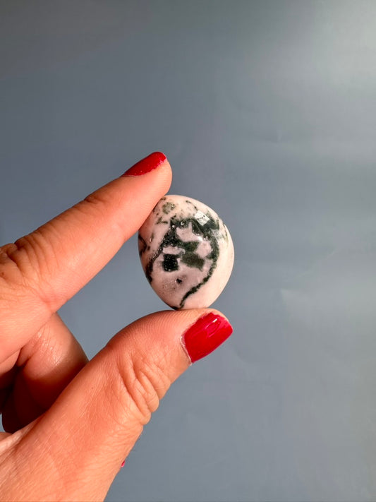 Tree Agate Tumble