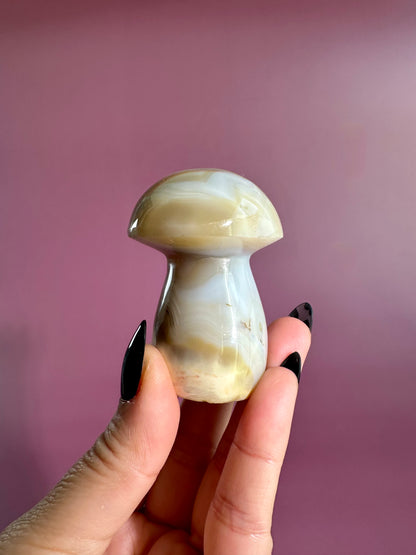 Agate Mushroom