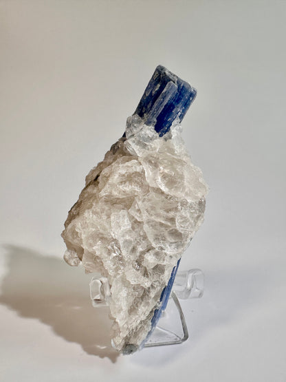 Kyanite in Quartz Cluster - D