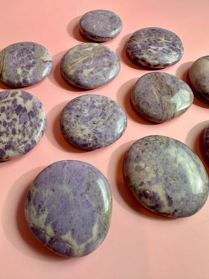 Purple Jade Flat Palm