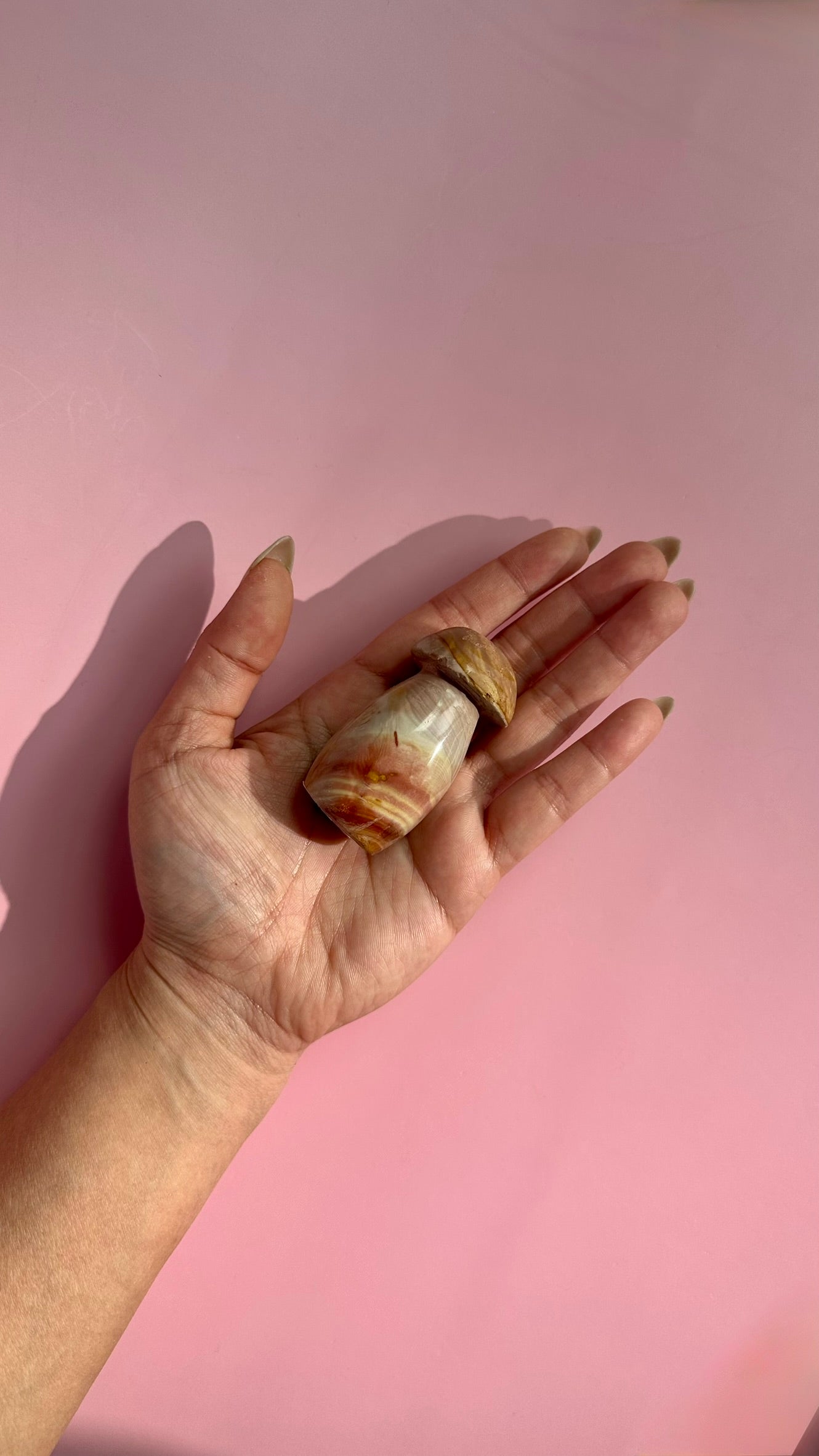 Perfectly Imperfect Small Sea Jasper Mushroom Misfit