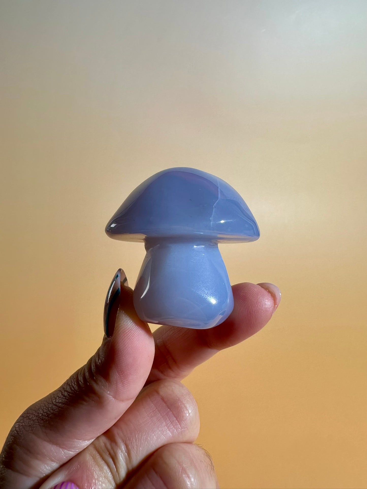 Blue Chalcedony Mushroom Carving – Option E | Peace, Communication & Serenity Energy