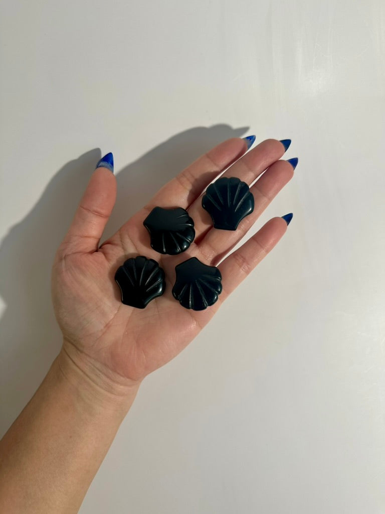 Small Black Obsidian Shell | Crystal Carving