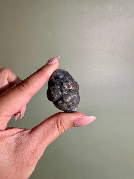Flashy Labradorite Money Toad – Option C
