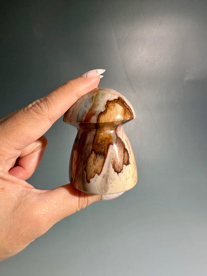 Polychrome Jasper Mushroom – Option B