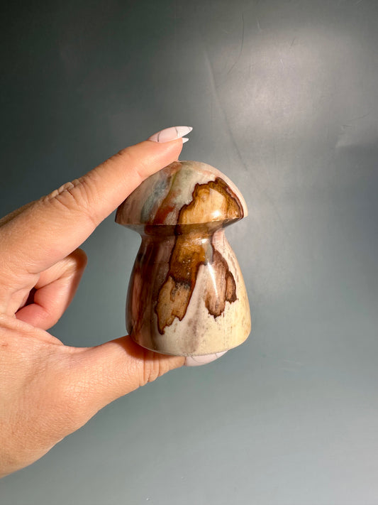 Polychrome Jasper Mushroom – Option B