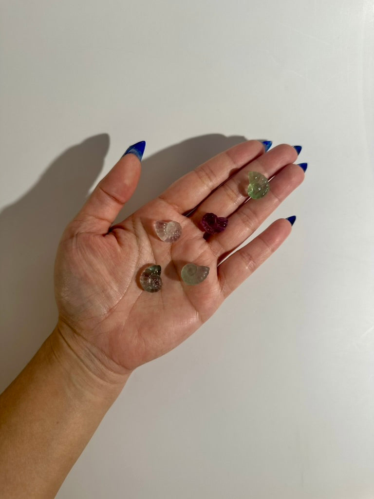 Mini Rainbow Fluorite Ammonite | Fossil-Inspired Crystal Carving