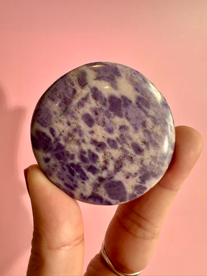 Purple Jade Flat Palm