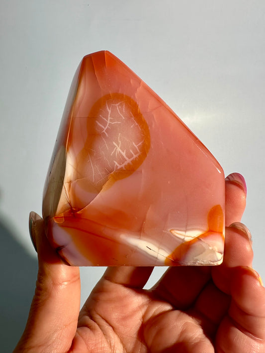 Carnelian Agate Geometric Freeform – Option I | Abundance, Determination & Prosperity Energy