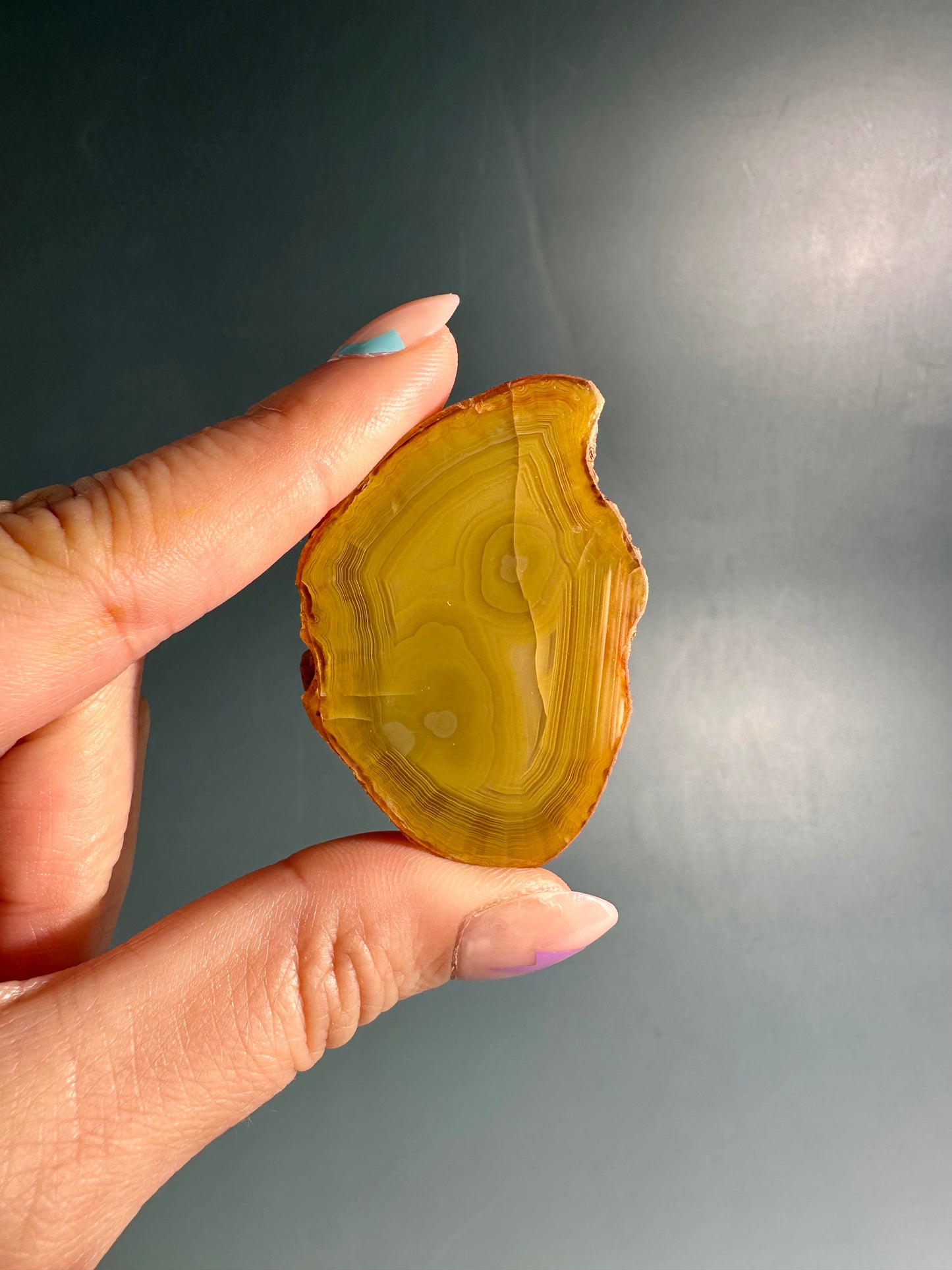 Agate Slice Option F | One-of-a-Kind Polished Natural Agate Display Piece