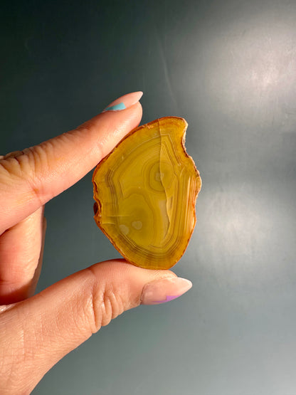 Agate Slice Option F | One-of-a-Kind Polished Natural Agate Display Piece