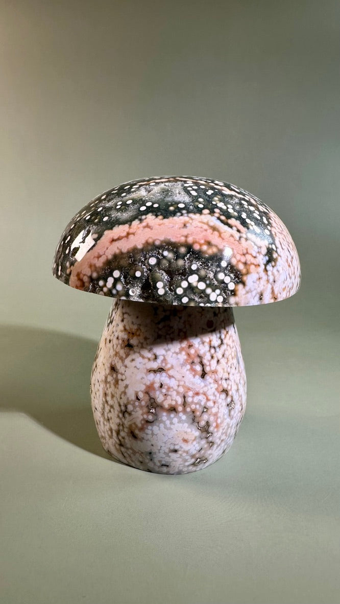 Ocean Jasper Mushroom – C