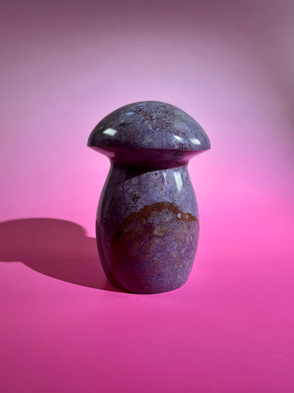 Sea Jasper Mushroom – Option H