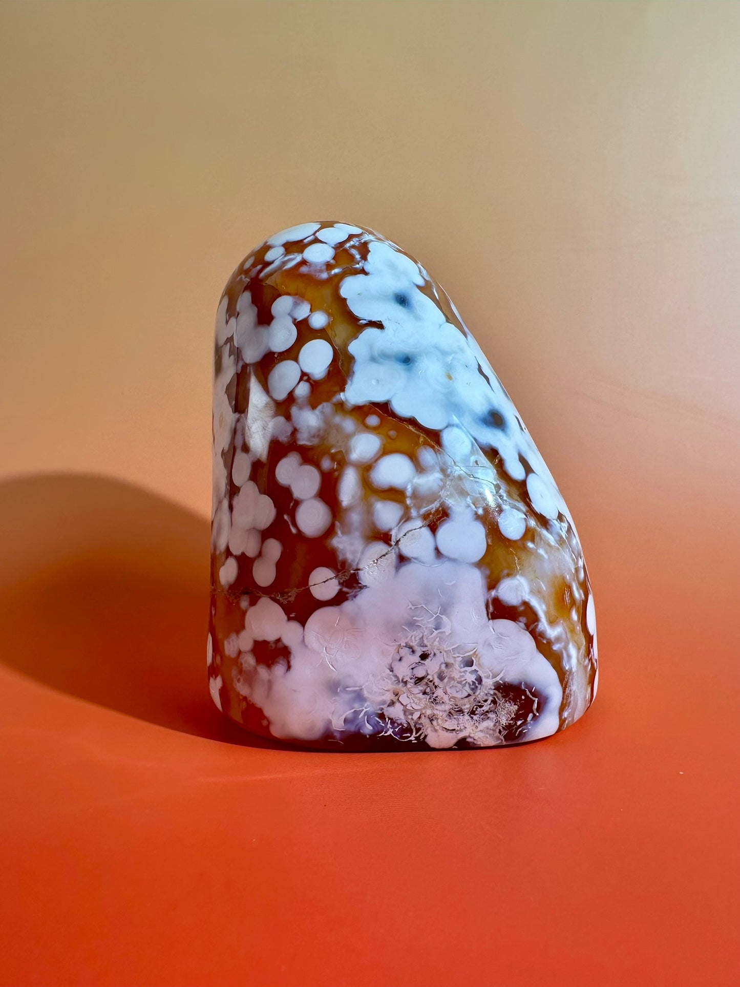 Carnelian Orca Agate Standing Freeform – Option G | Hidden Druzy Pocket, Abundance & Collector Crystal