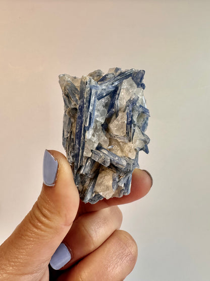 Kyanite in Quartz Cluster - E
