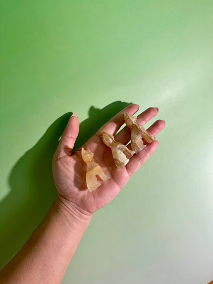 Intuitively Chosen Onyx Sitting Cat Carving | Protection, Strength & Grounding Crystal